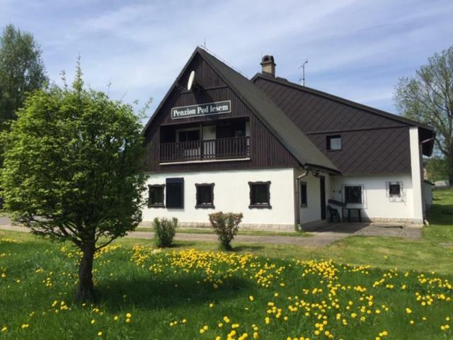 Hotel Penzion Pod Lesem Hodkovice Esterno foto