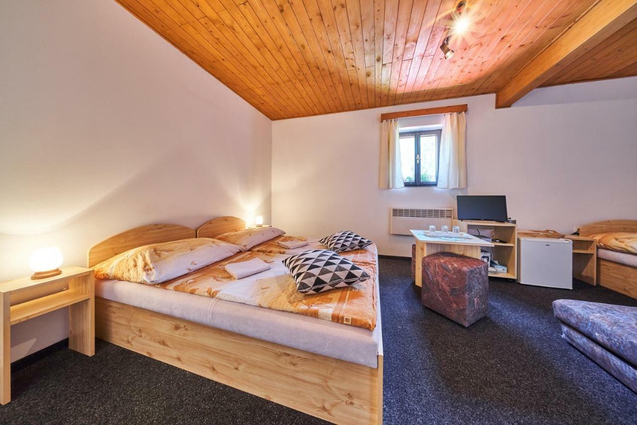 Hotel Penzion Pod Lesem Hodkovice Esterno foto